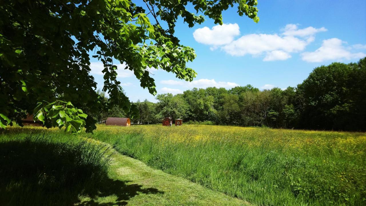 Domaine De La Grangee Villa La Chapelle-Blanche-Saint-Martin Dış mekan fotoğraf