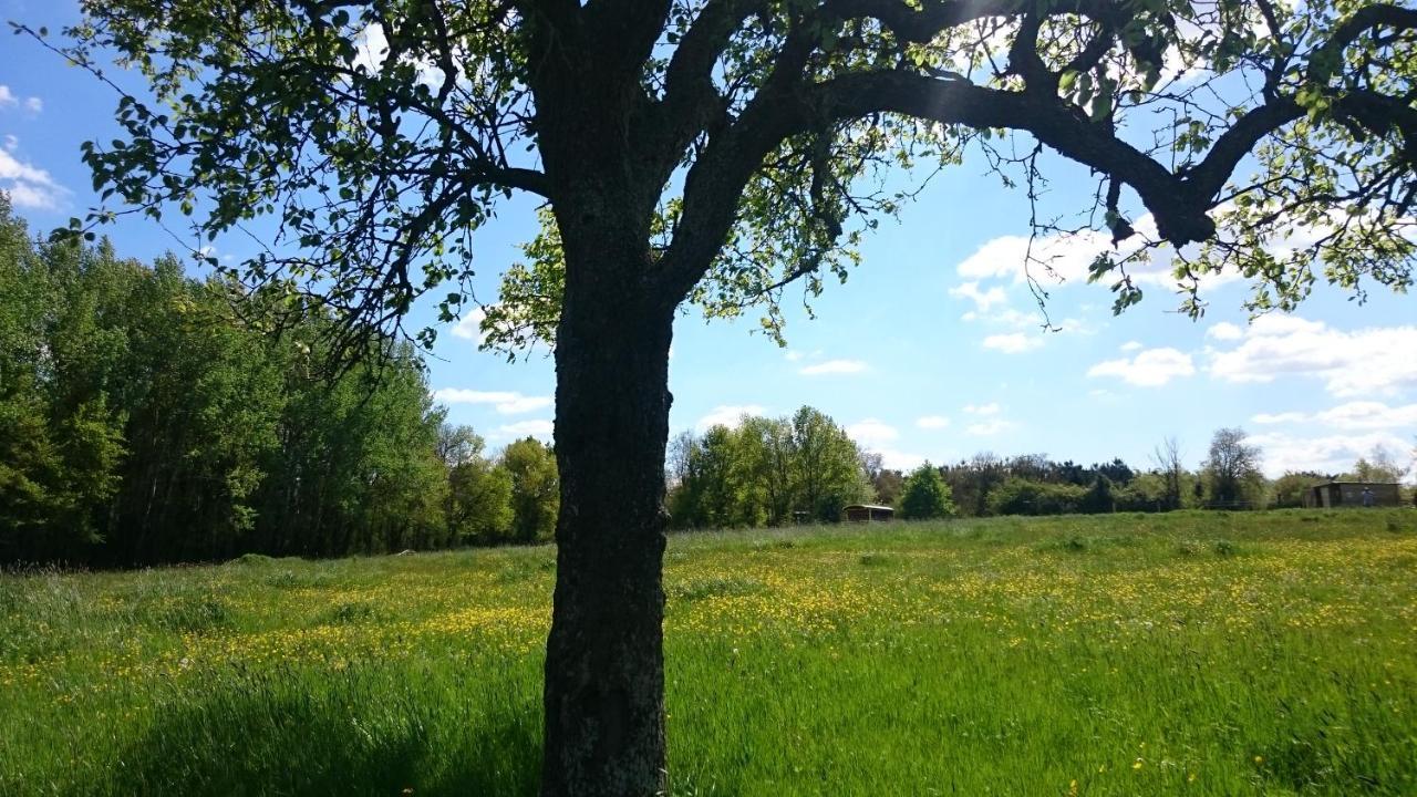 Domaine De La Grangee Villa La Chapelle-Blanche-Saint-Martin Dış mekan fotoğraf