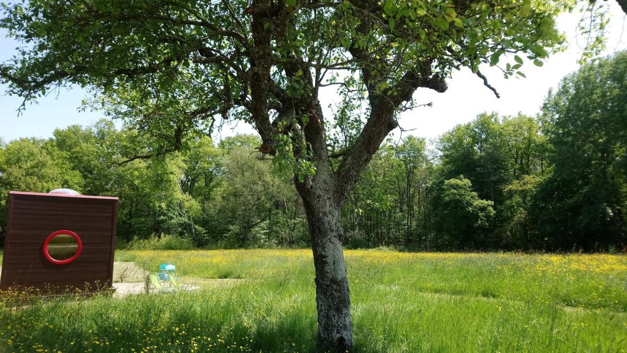 Domaine De La Grangee Villa La Chapelle-Blanche-Saint-Martin Dış mekan fotoğraf